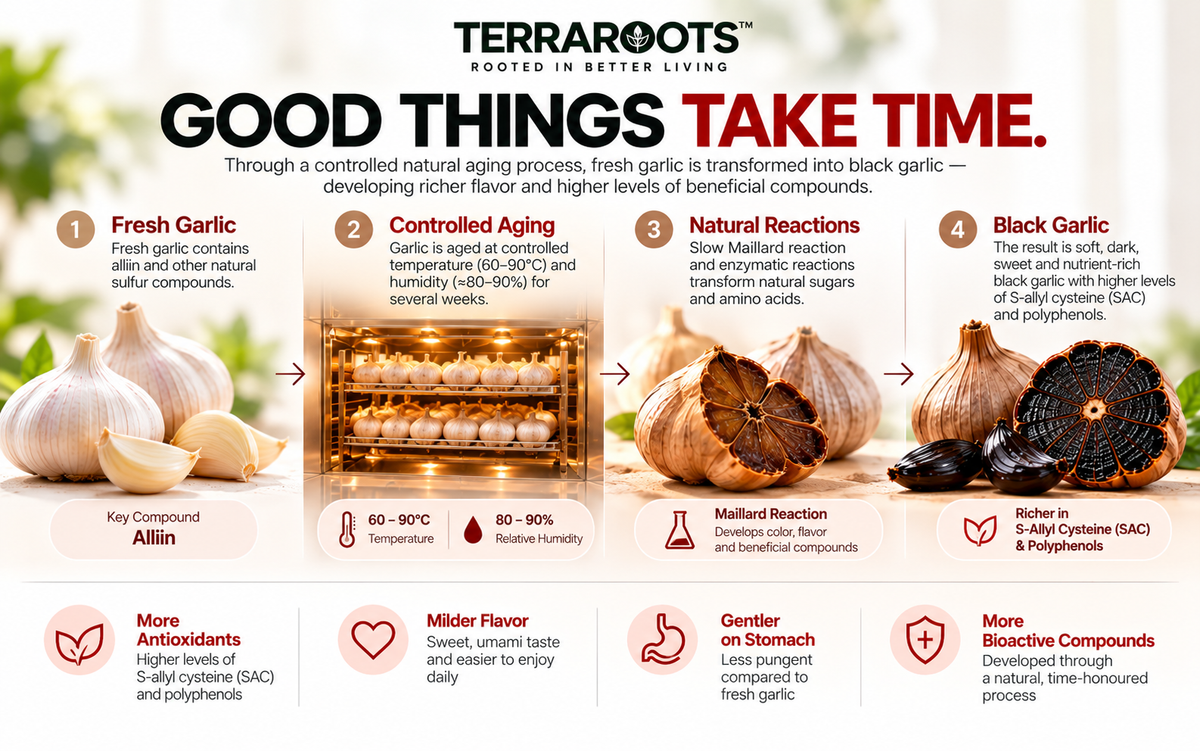 TERRAROOTS™ Black Garlic Extract | Heart & Circulatory Support | 60 Softgels