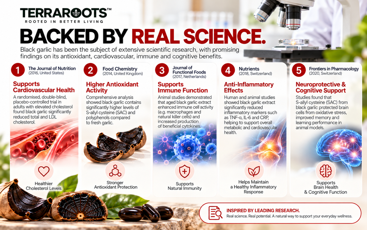 TERRAROOTS™ Black Garlic Extract | Heart & Circulatory Support | 60 Softgels