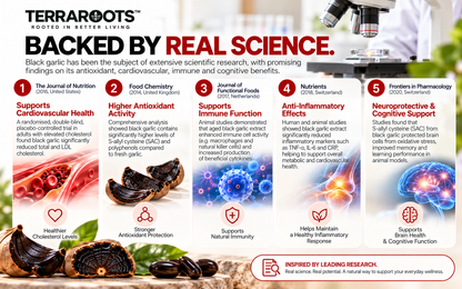 TERRAROOTS™ Black Garlic Extract | Heart & Circulatory Support | 60 Softgels